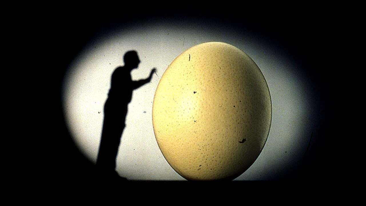 Poster backdrop for Il mnemonista