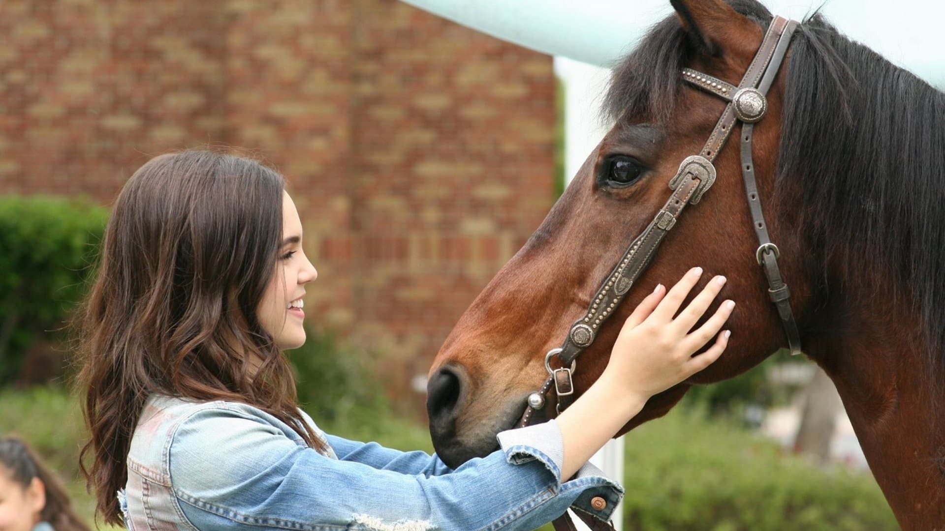 Poster backdrop for A Cowgirl's Story
