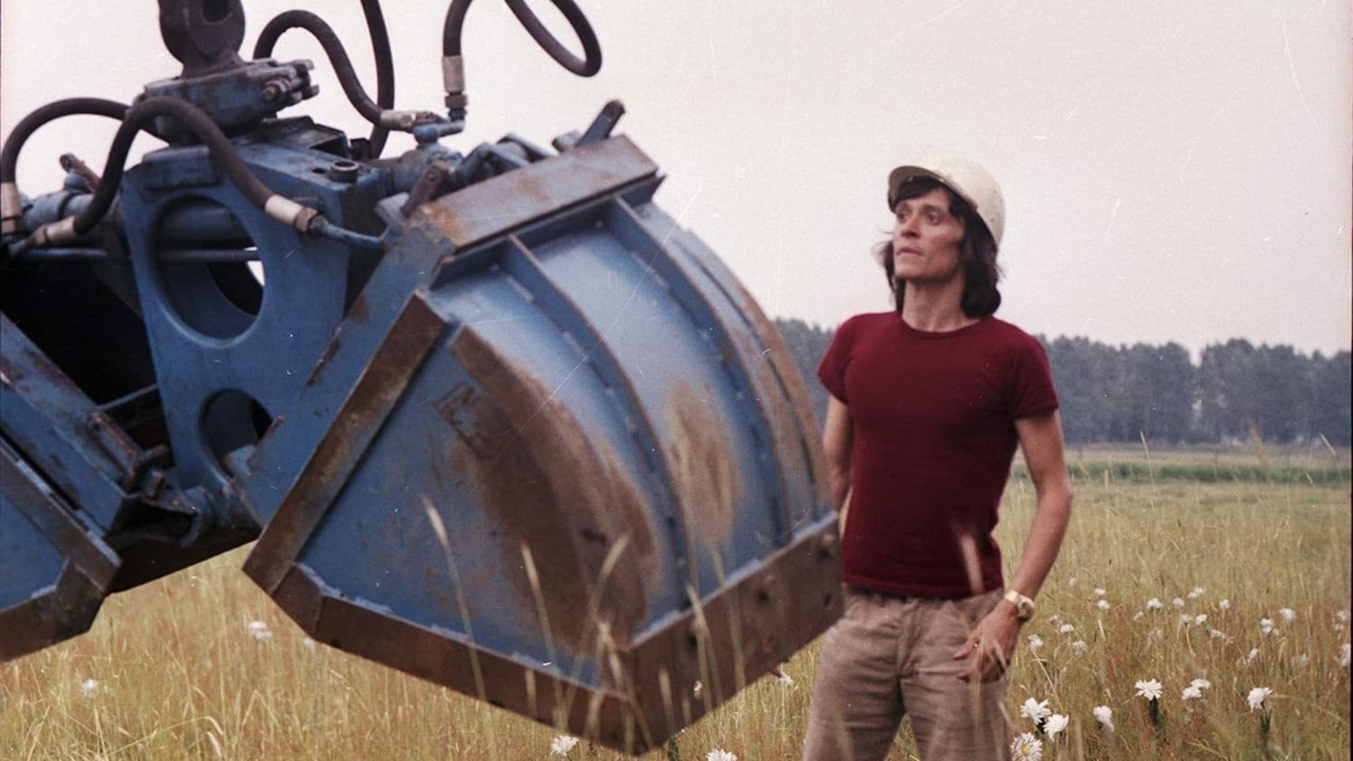 Poster backdrop for Ich war in Honolulu – wetten?