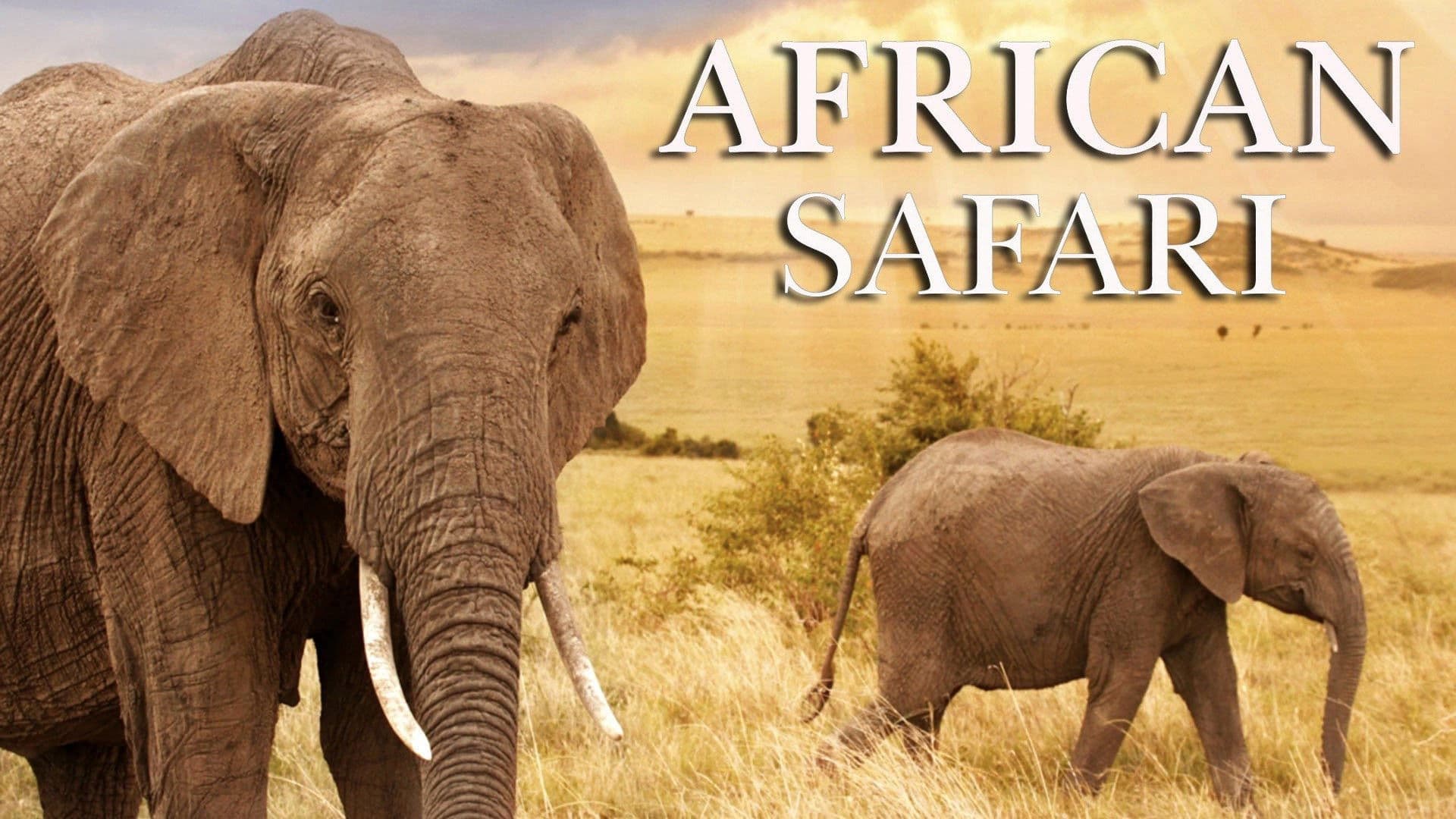 Poster backdrop for Rivers of Fire and Ice