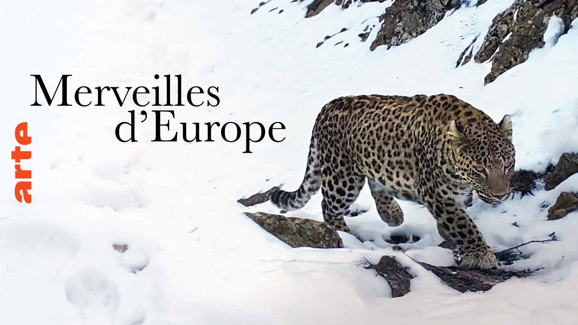 Poster backdrop for Merveilles d'Europe