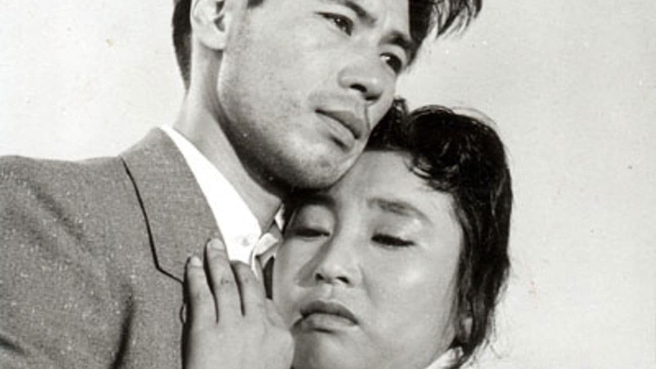 Poster backdrop for When the Night Comes Again