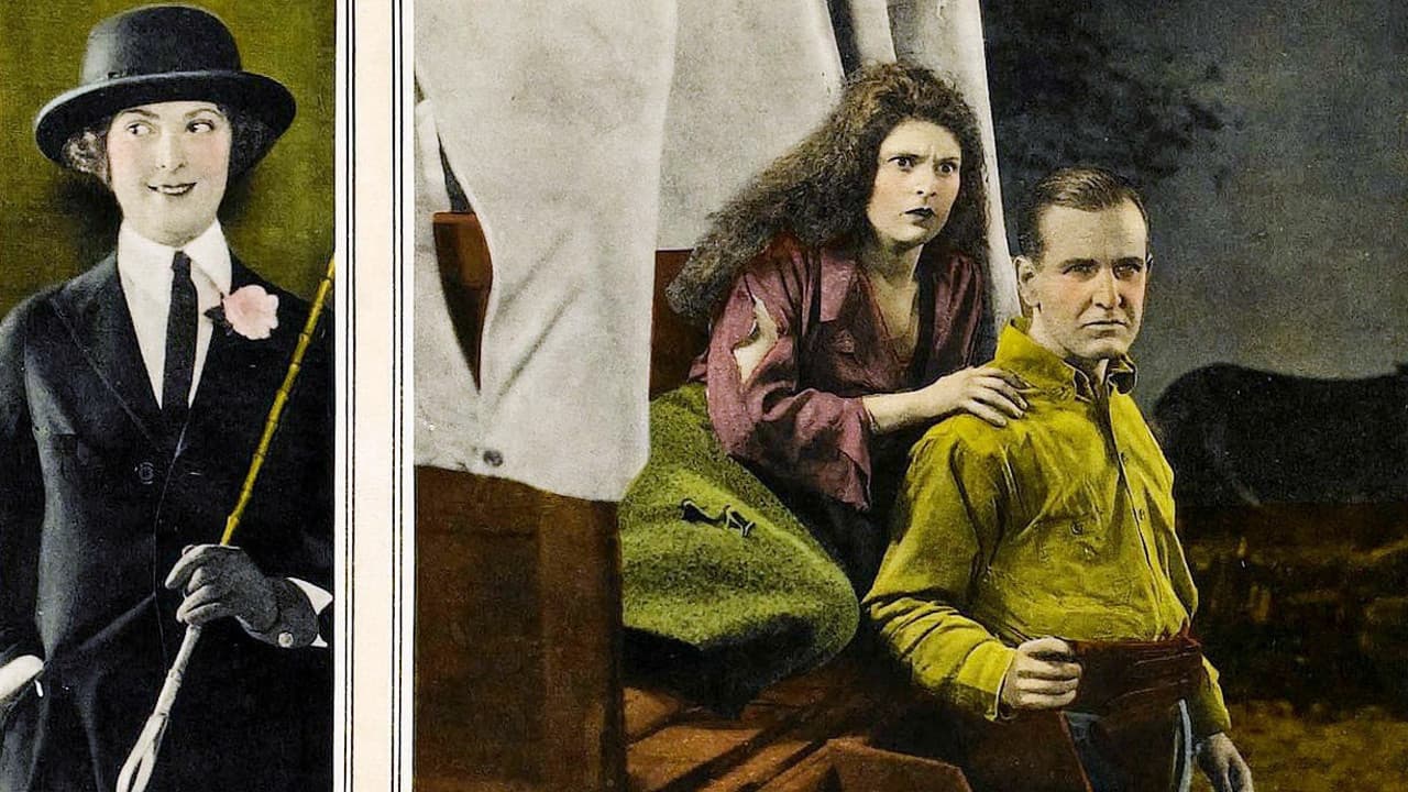 Poster backdrop for Wild Honey