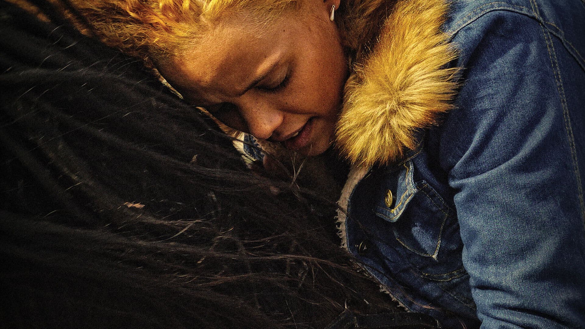 Poster backdrop for Flatland