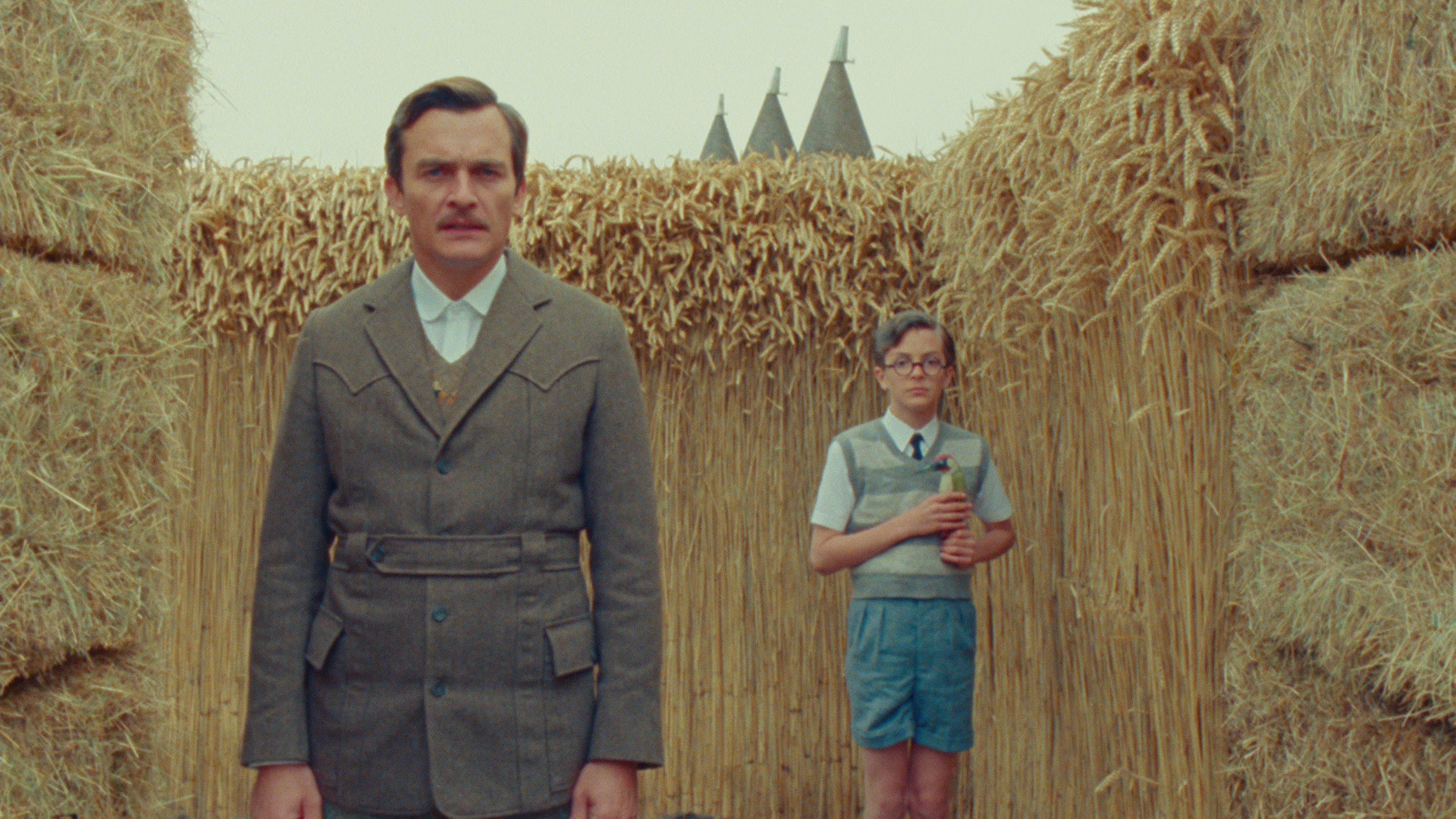 Poster backdrop for The Swan