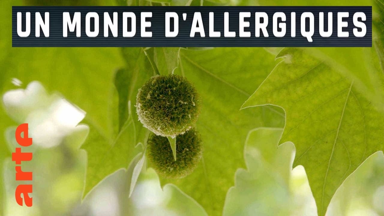 Poster backdrop for Un monde d'allergiques