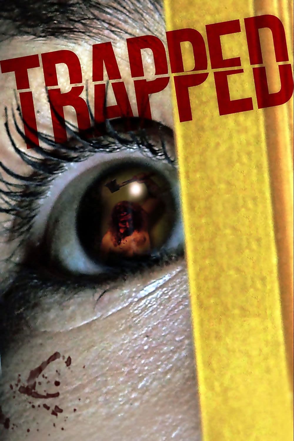 Poster backdrop for Trapped