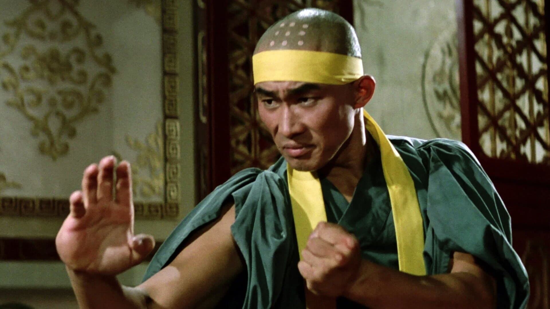 Poster backdrop for The Shaolin Plot