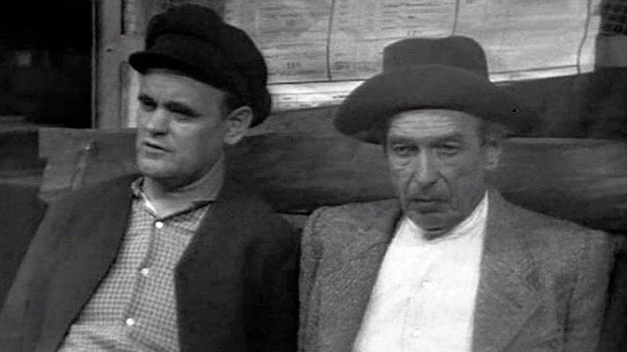 Poster backdrop for Der Besuch der alten Dame