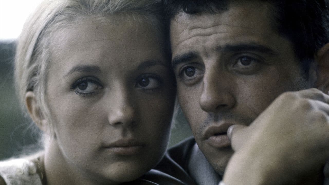 Poster backdrop for Life Love Death