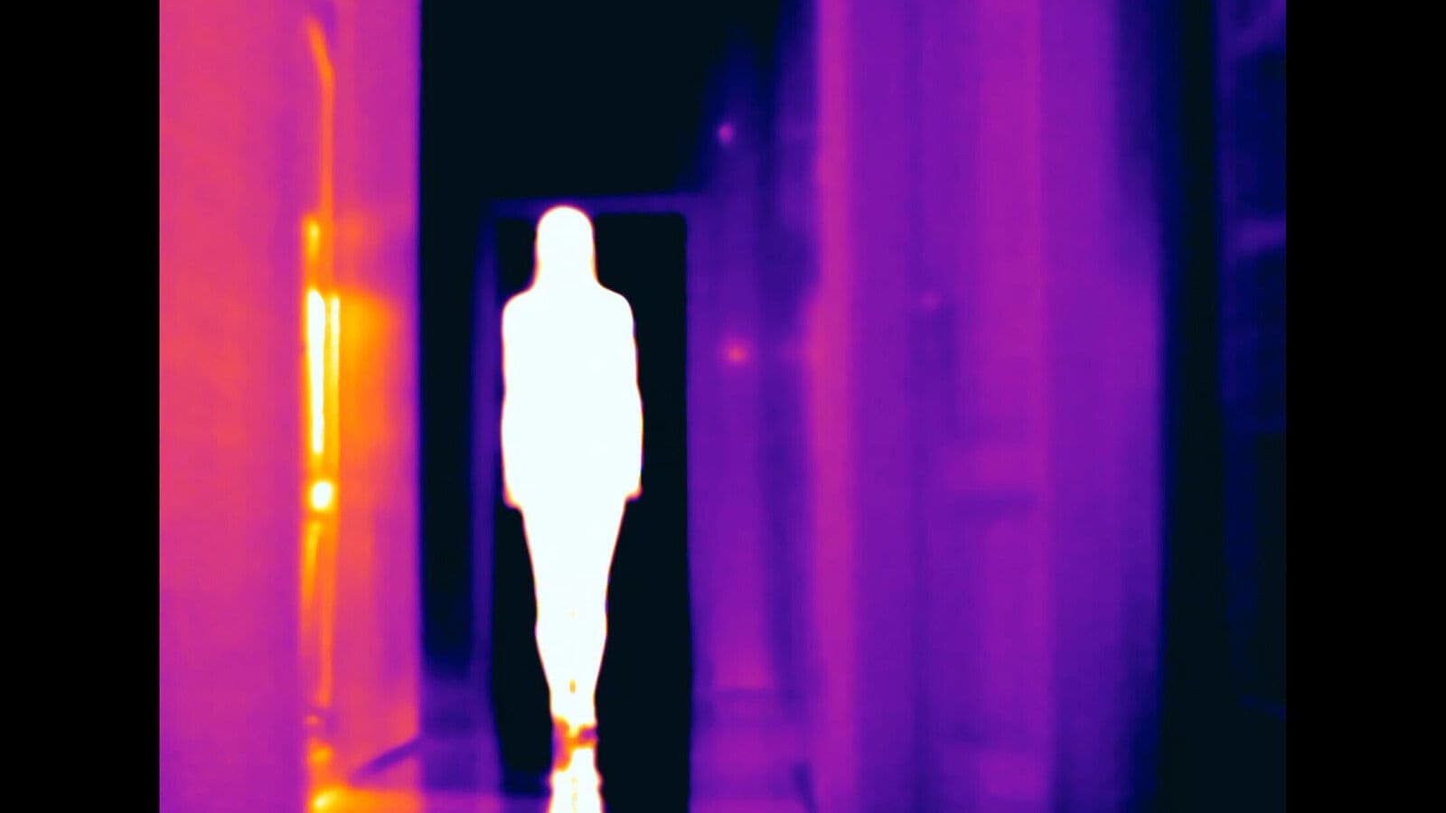 Poster backdrop for Anatomy