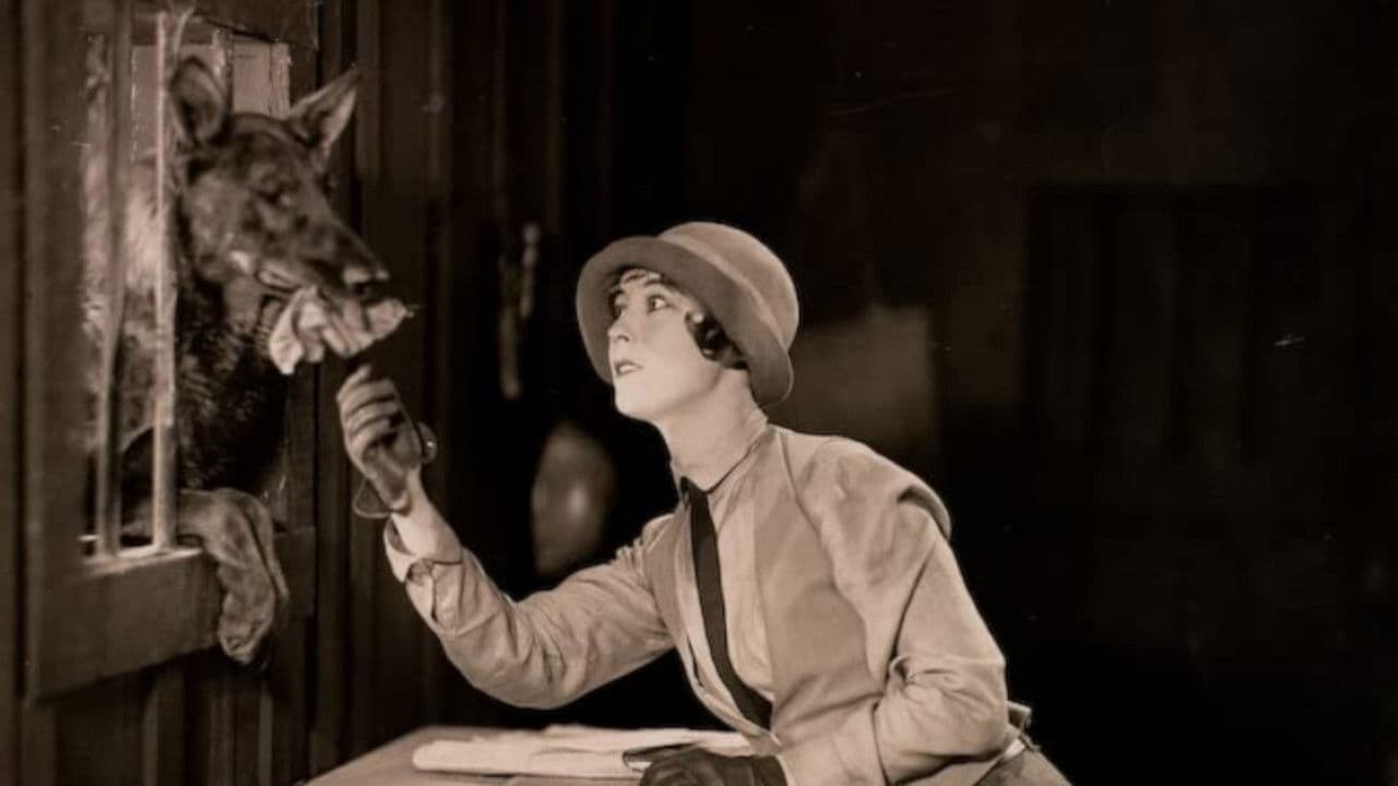 Poster backdrop for The Four-Footed Ranger