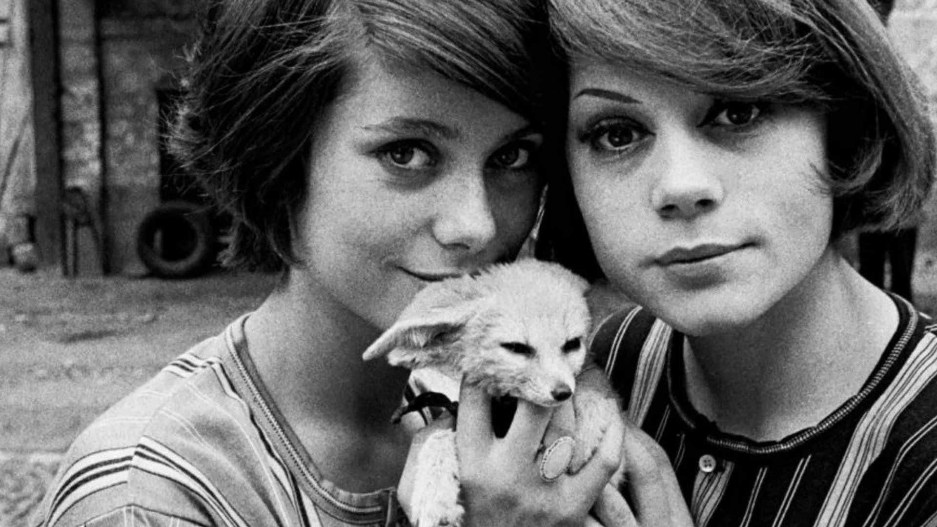 Poster backdrop for The Door Slams