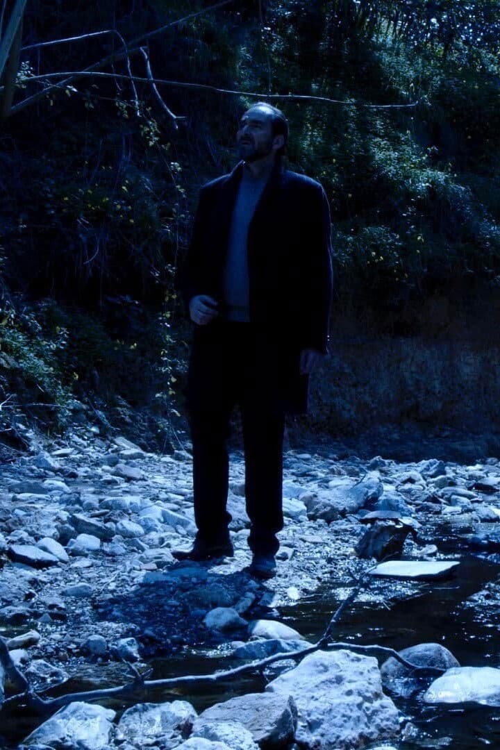 Poster backdrop for The Winter Journey