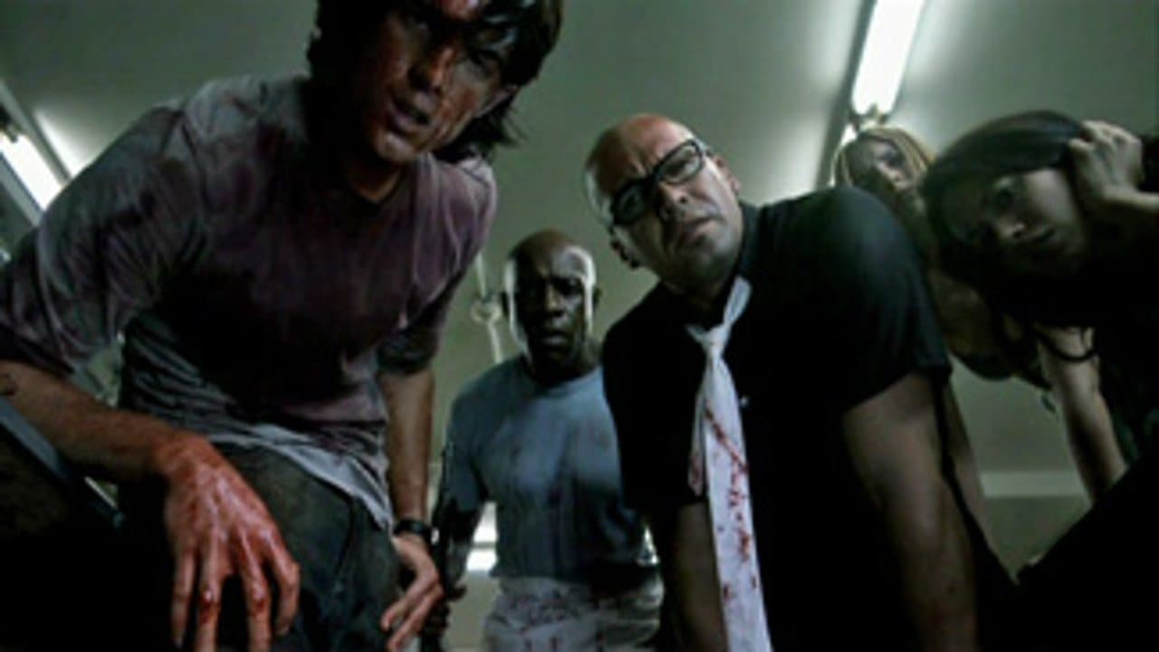 Poster backdrop for The Mad