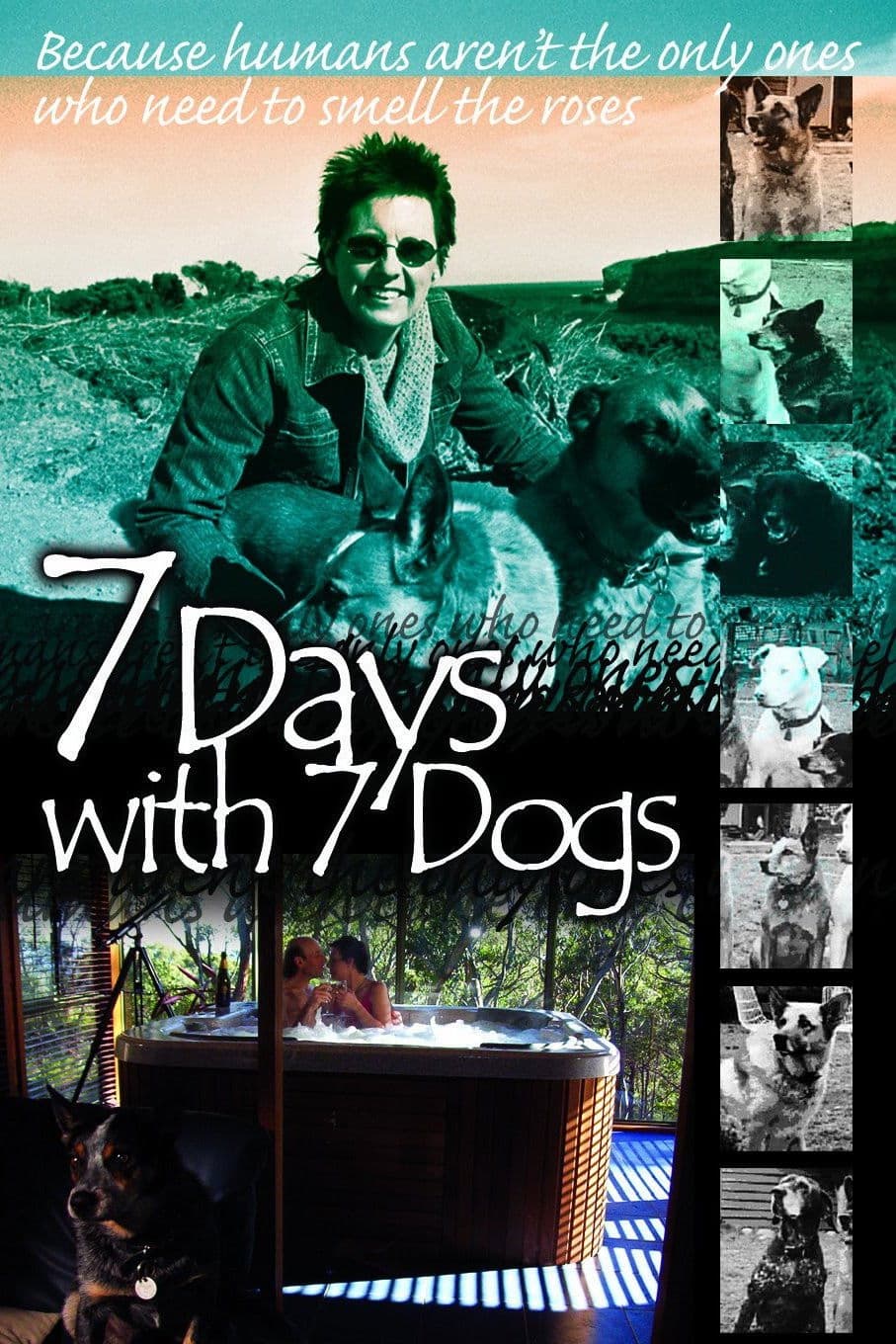 Poster backdrop for 7 Days with 7 Dogs