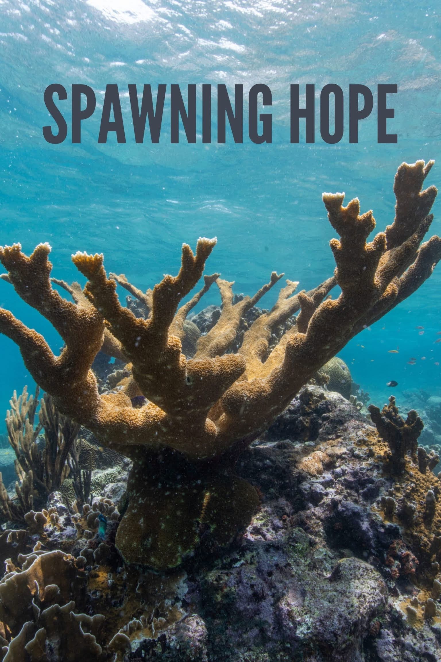 Poster backdrop for Spawning Hope