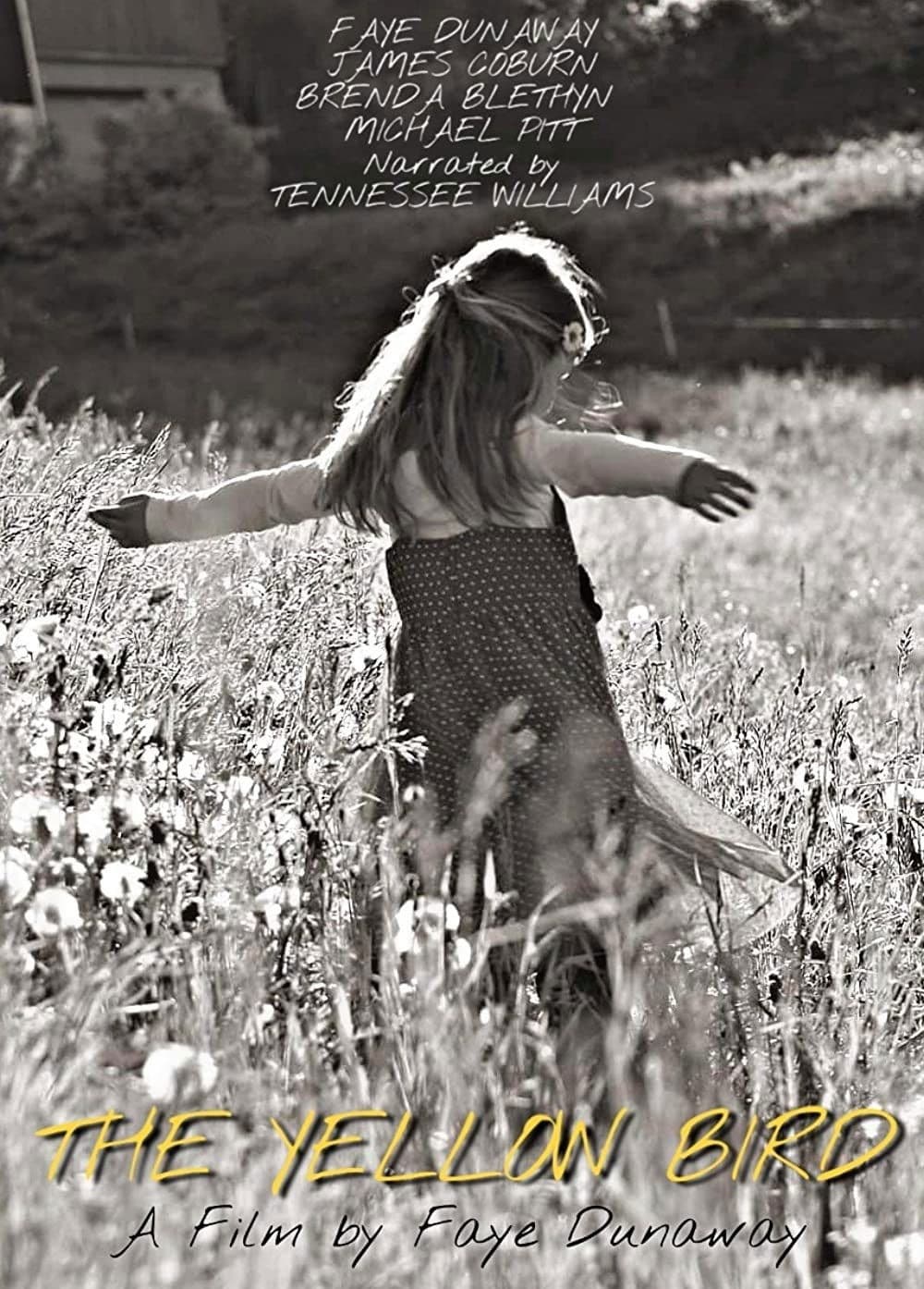 Poster backdrop for The Yellow Bird
