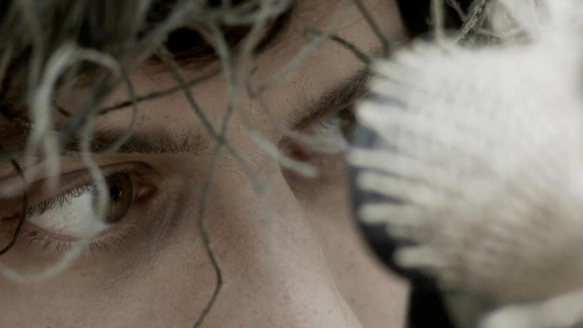 Poster backdrop for Canadian, Sniper