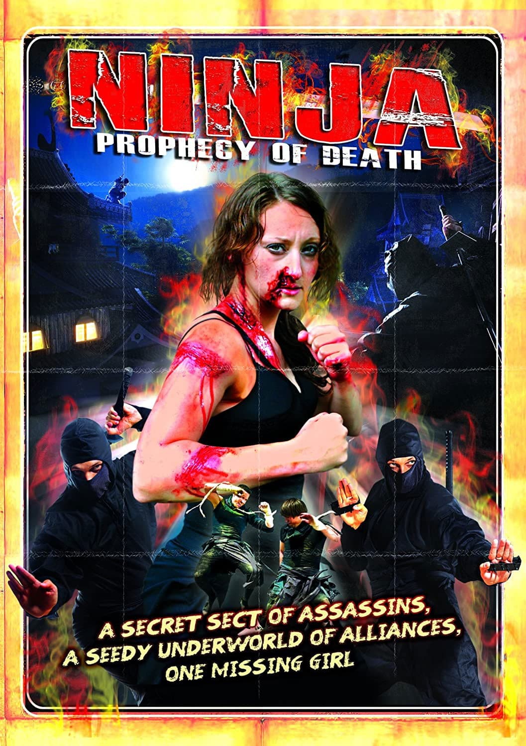 Poster backdrop for Ninja: Prophecy of Death