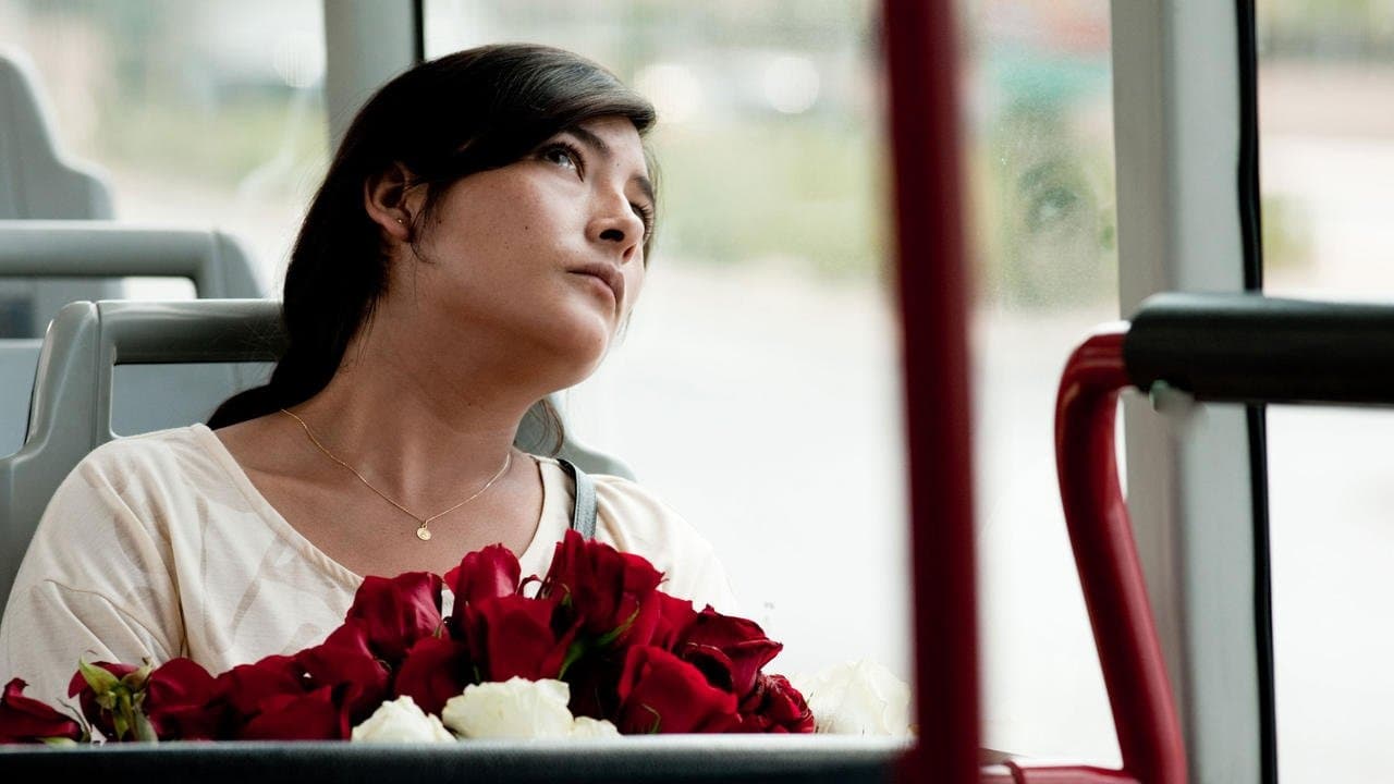 Poster backdrop for Amador