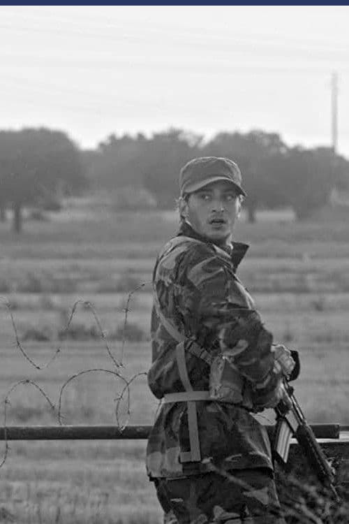 Poster backdrop for Checkpoint