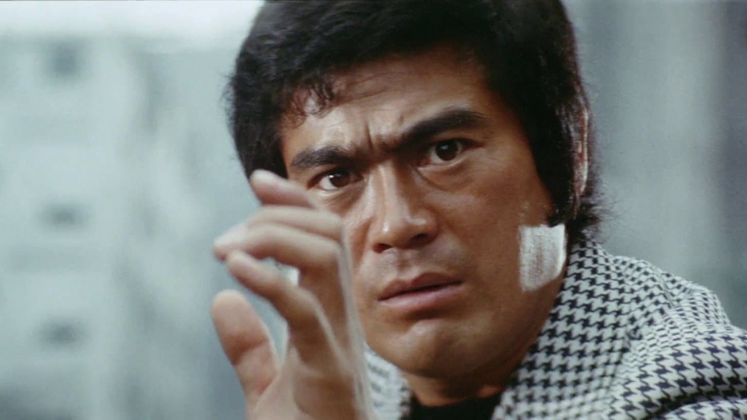 Poster backdrop for Bodyguard Kiba 2