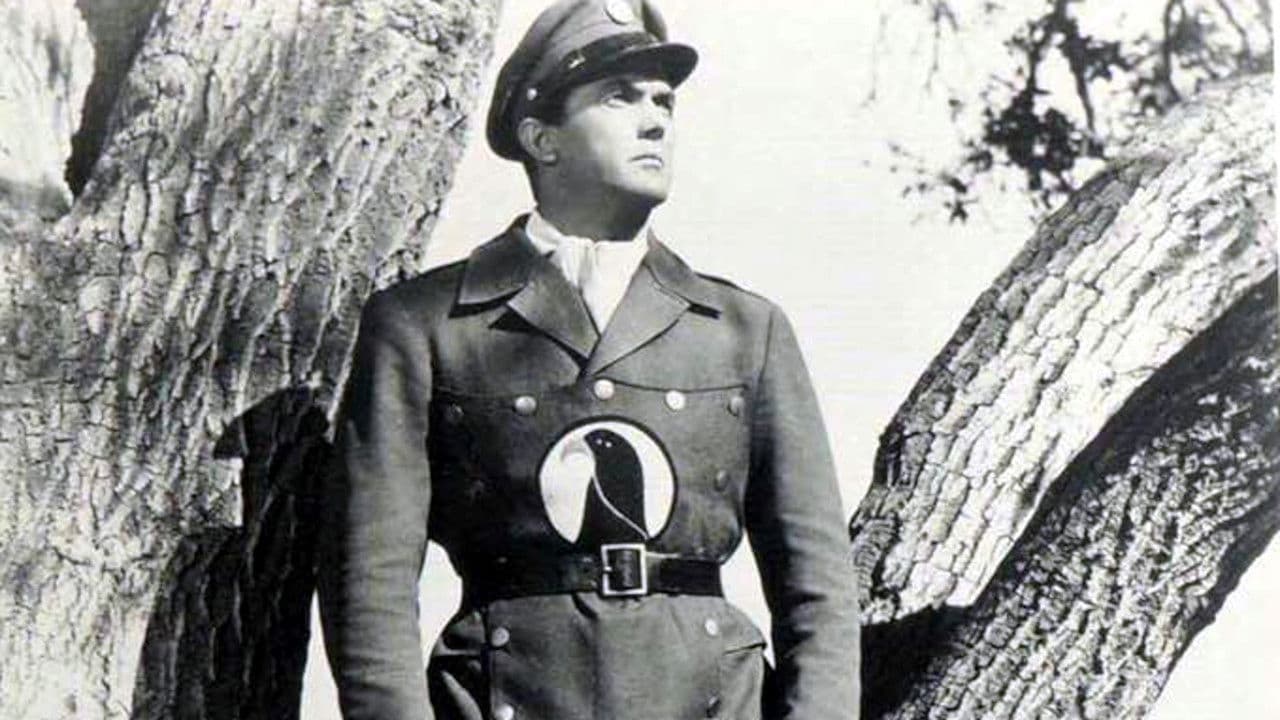 Poster backdrop for Blackhawk