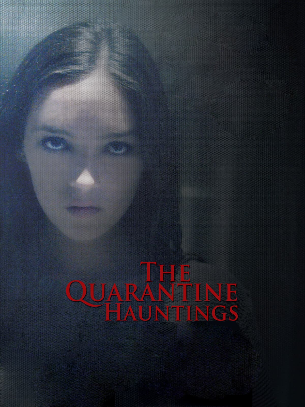 Poster backdrop for The Quarantine Hauntings