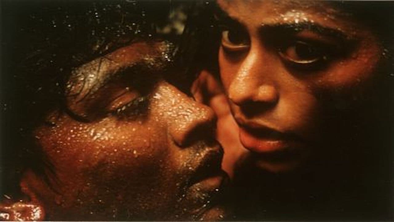 Poster backdrop for The Terrorist