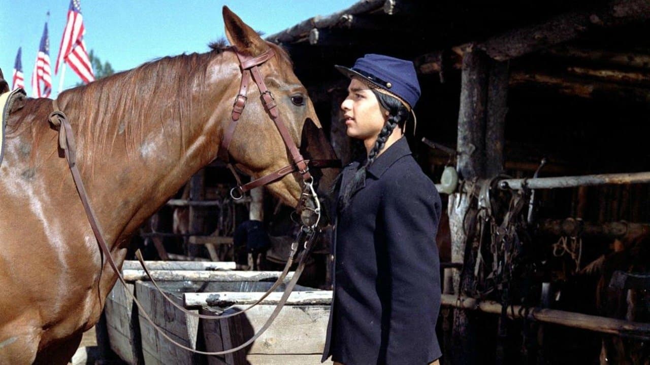 Poster backdrop for Tonka