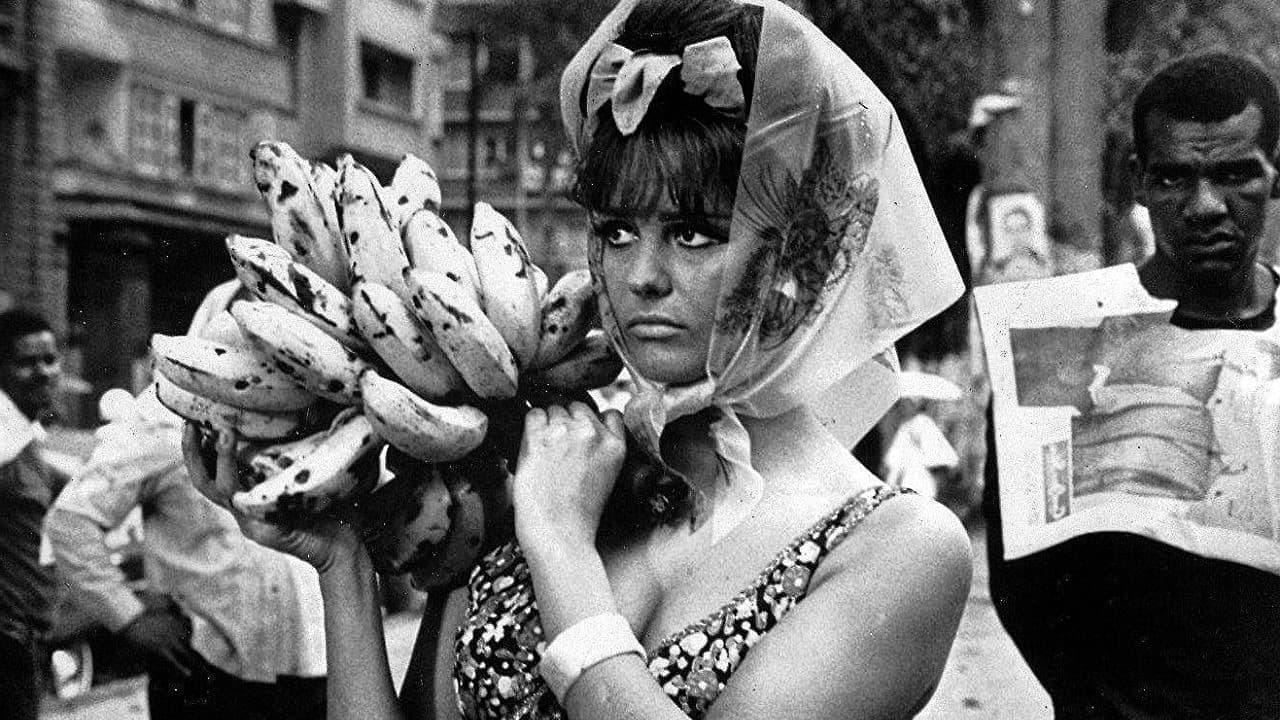 Poster backdrop for A Rose for Everyone