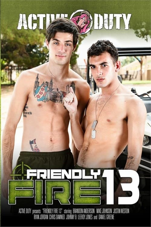 Poster backdrop for Friendly Fire 13