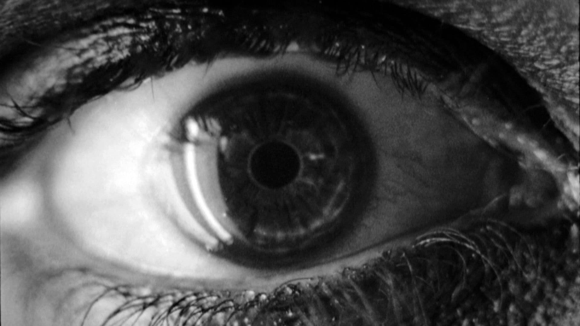 Poster backdrop for Voyage to 'Metropolis'