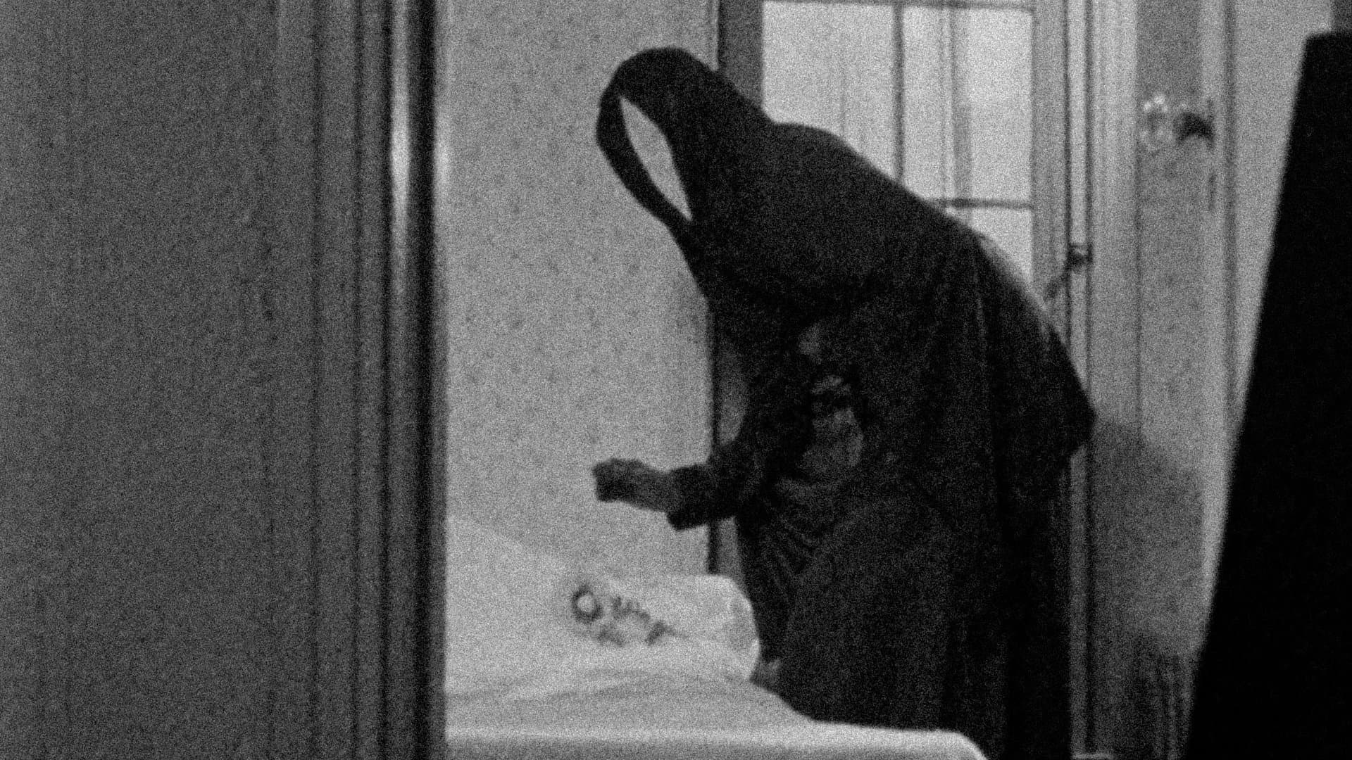 Poster backdrop for Meshes of the Afternoon