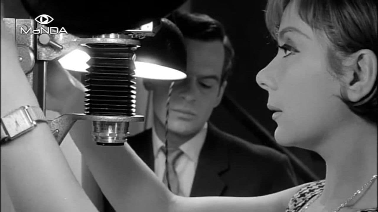 Poster backdrop for Haber's Photo Shop