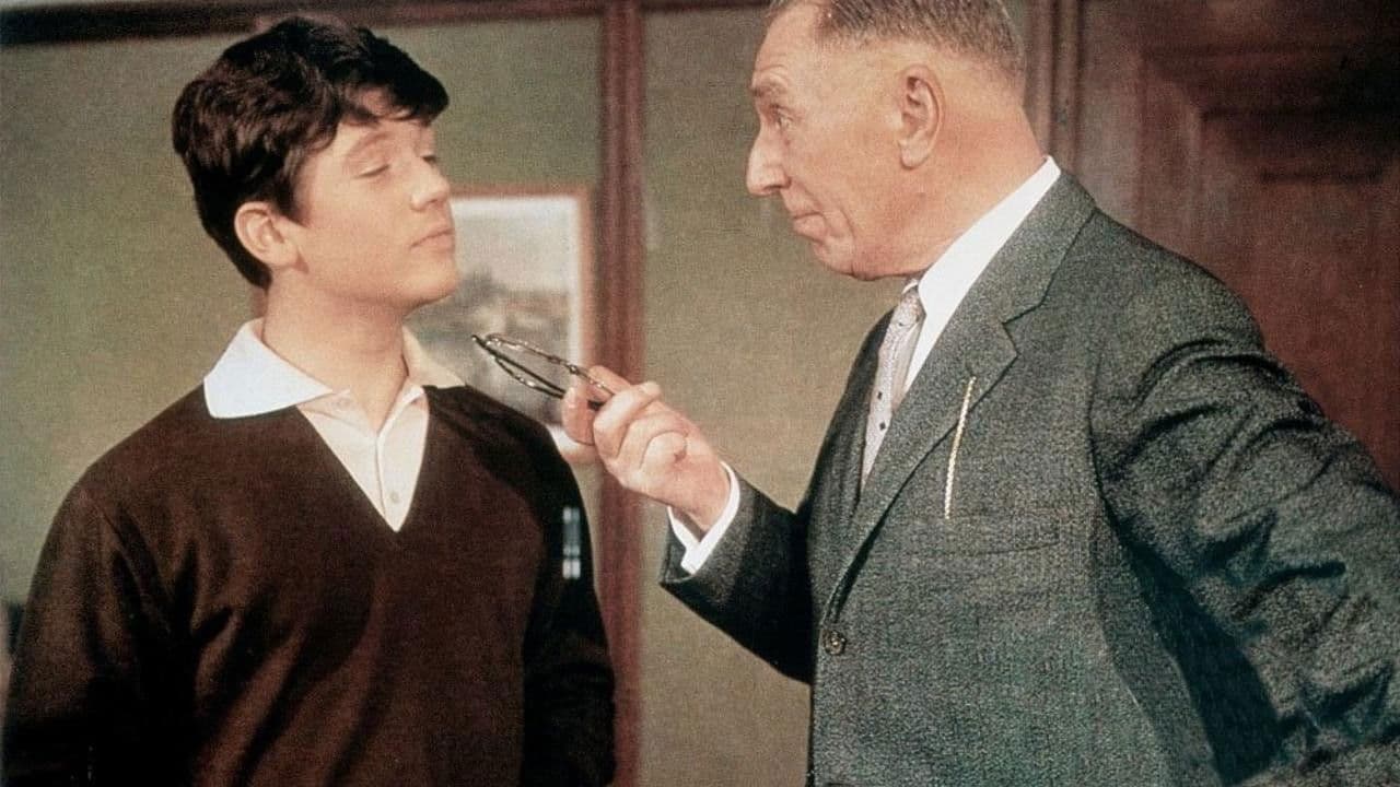 Poster backdrop for Zur Hölle mit den Paukern