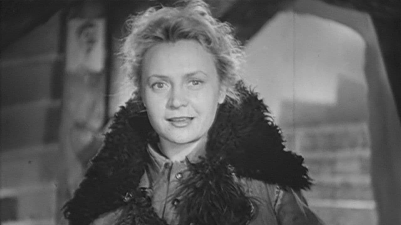 Poster backdrop for In the Name of the Motherland