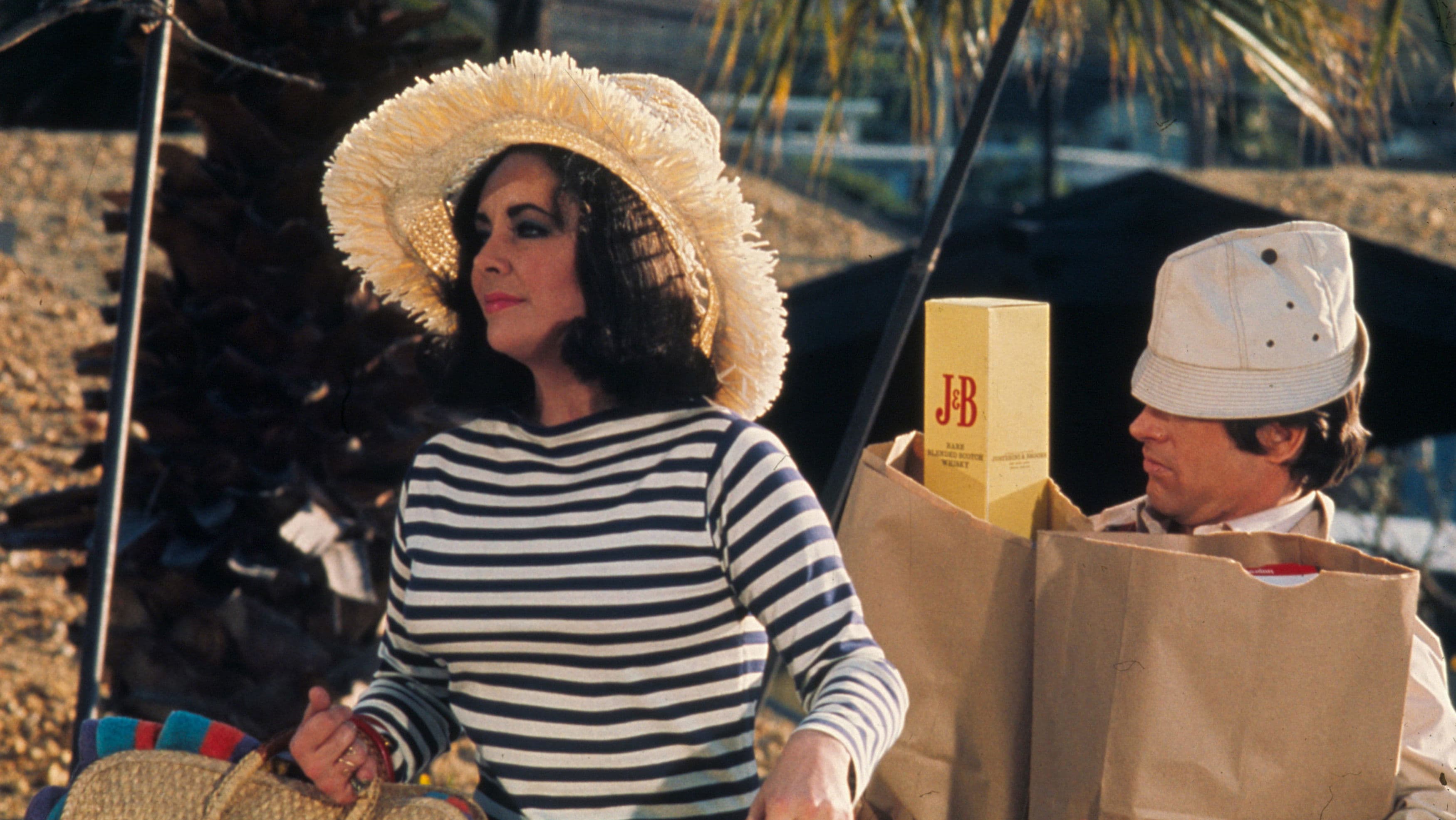 Poster backdrop for The Only Game in Town