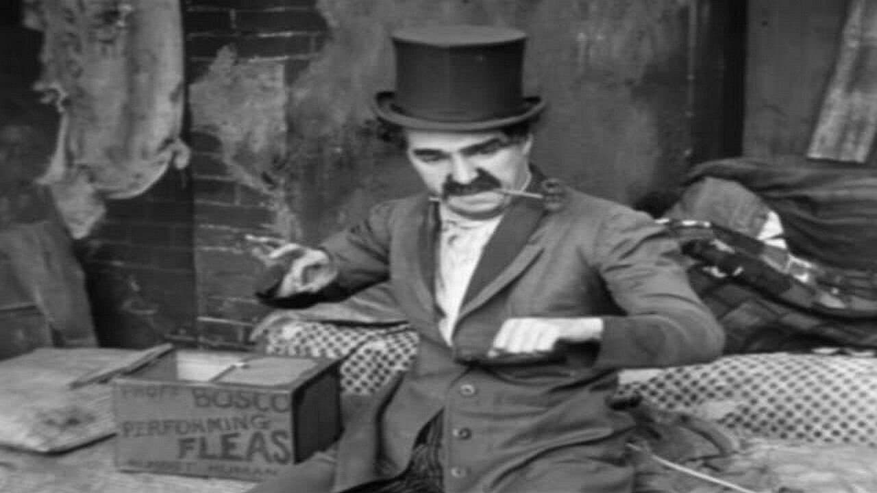 Poster backdrop for The Professor