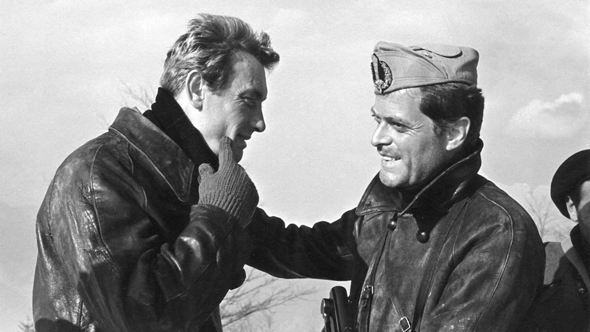 Poster backdrop for Pigeon Shoot