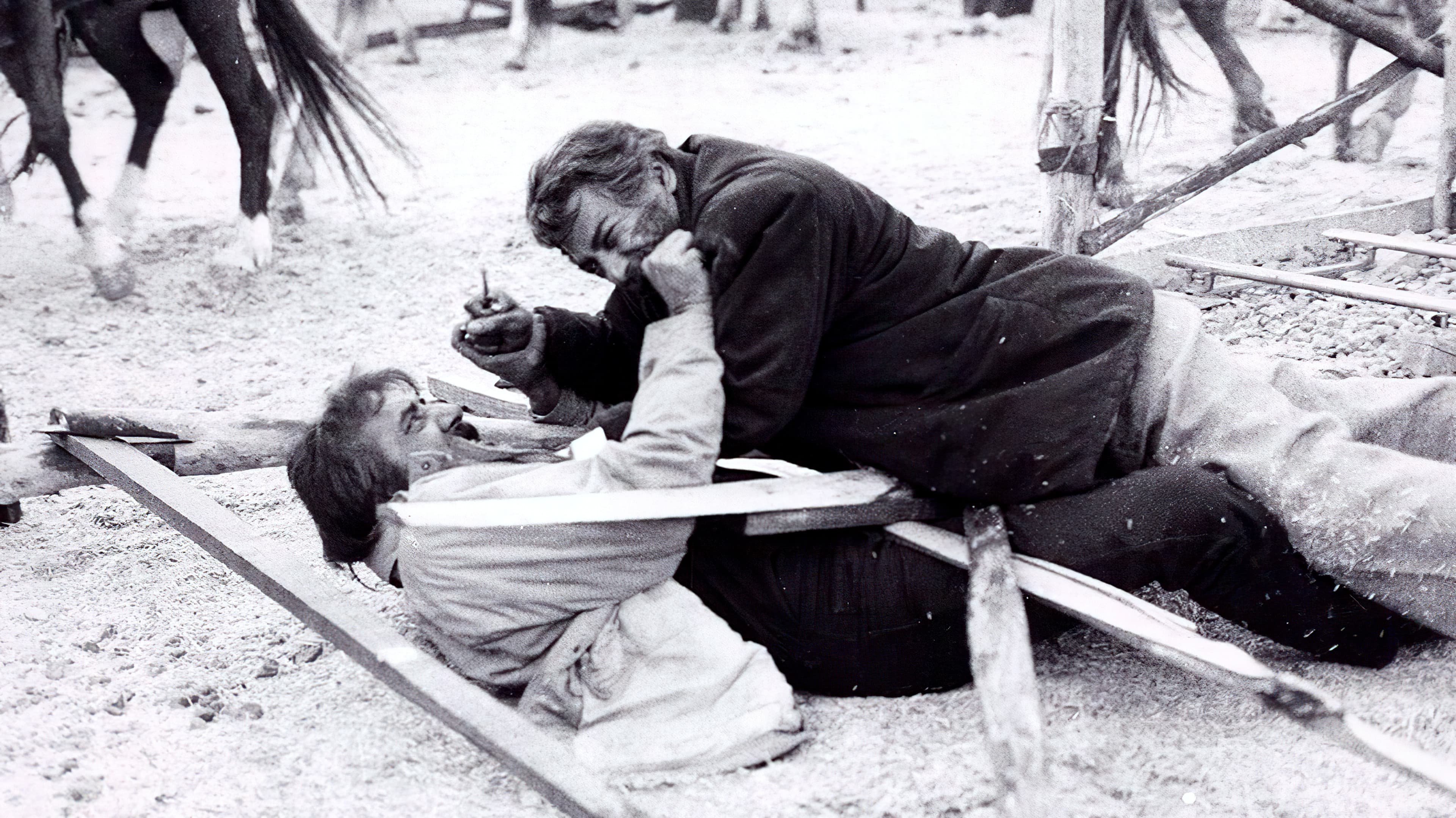 Poster backdrop for The Wolf's Trail