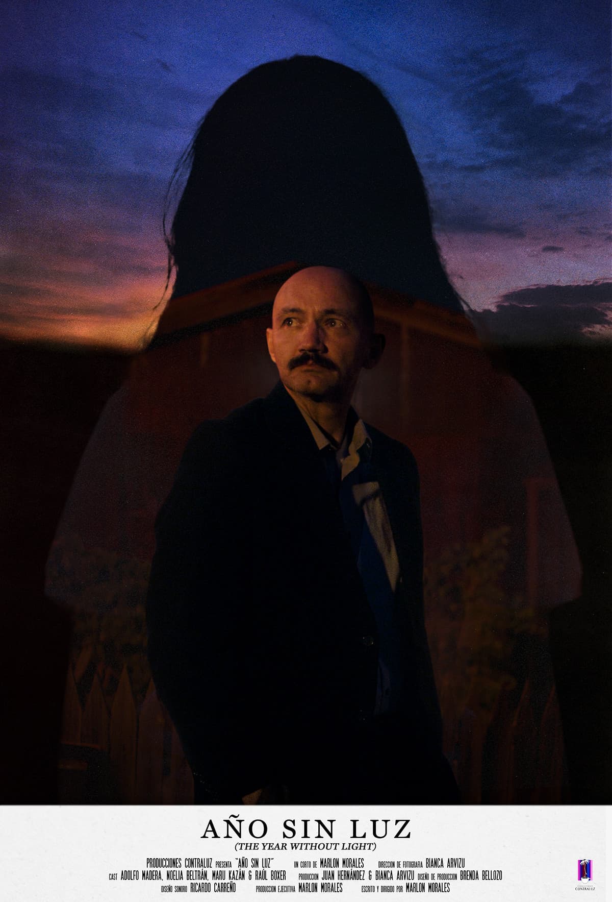 Poster backdrop for The Year Without Light