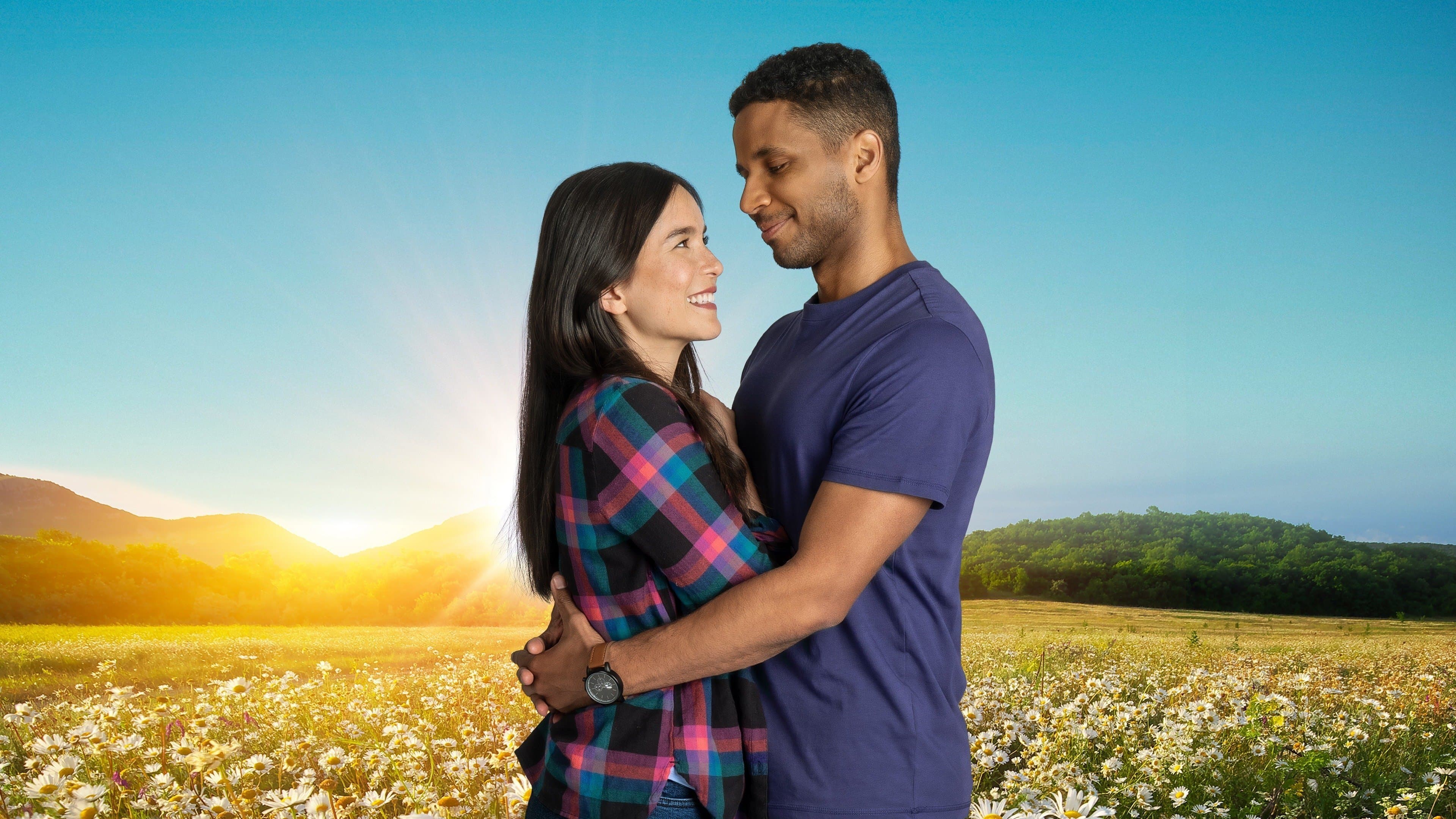 Poster backdrop for Love at Sky Gardens