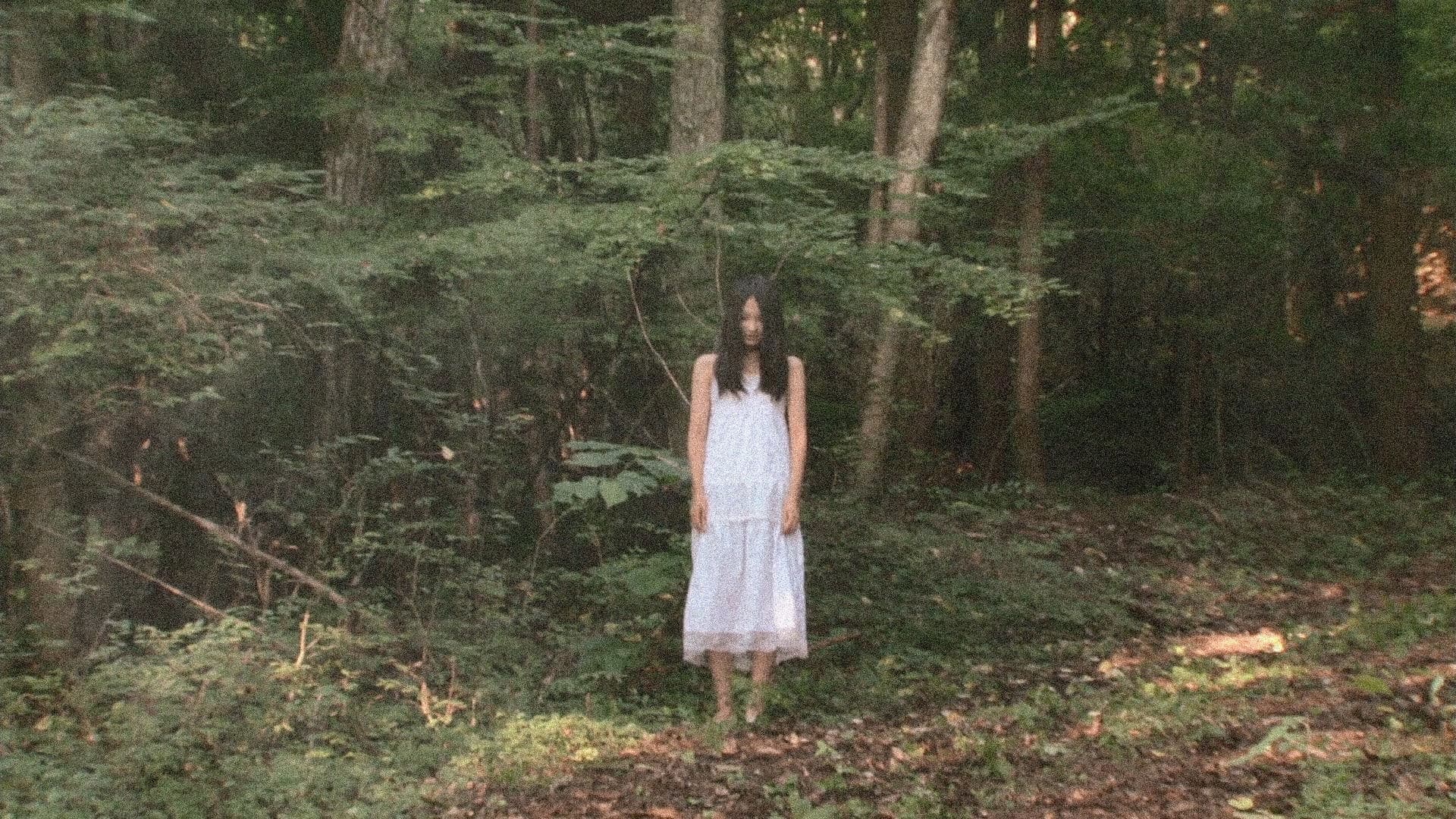 Poster backdrop for Kune Kune