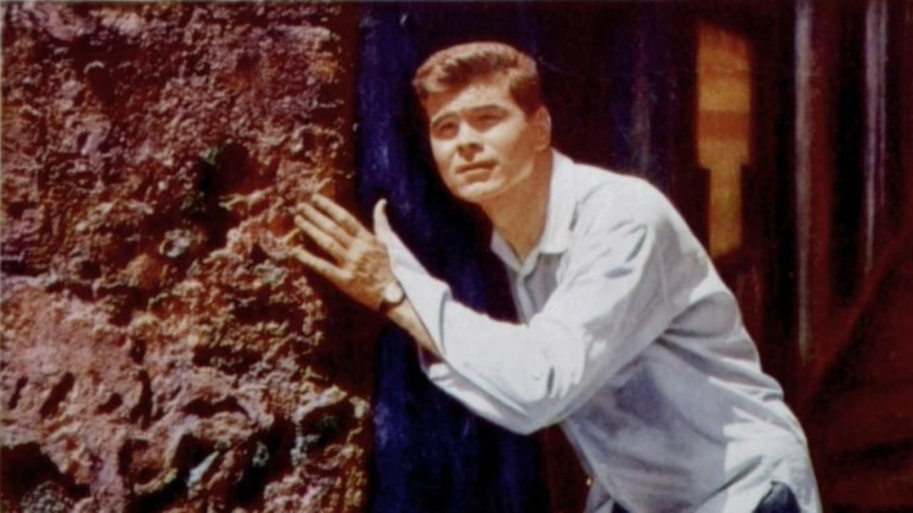 Poster backdrop for The Man with My Face