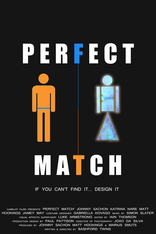 Poster backdrop for Perfect Match