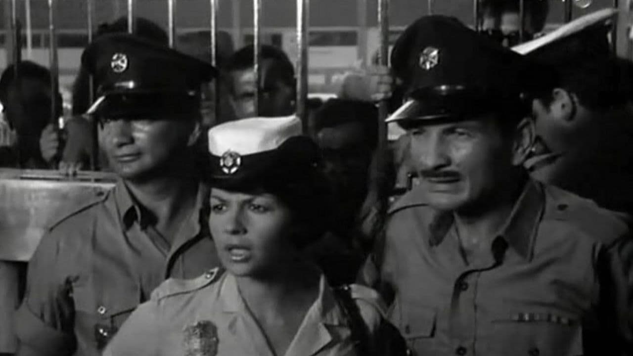 Poster backdrop for Ervinka