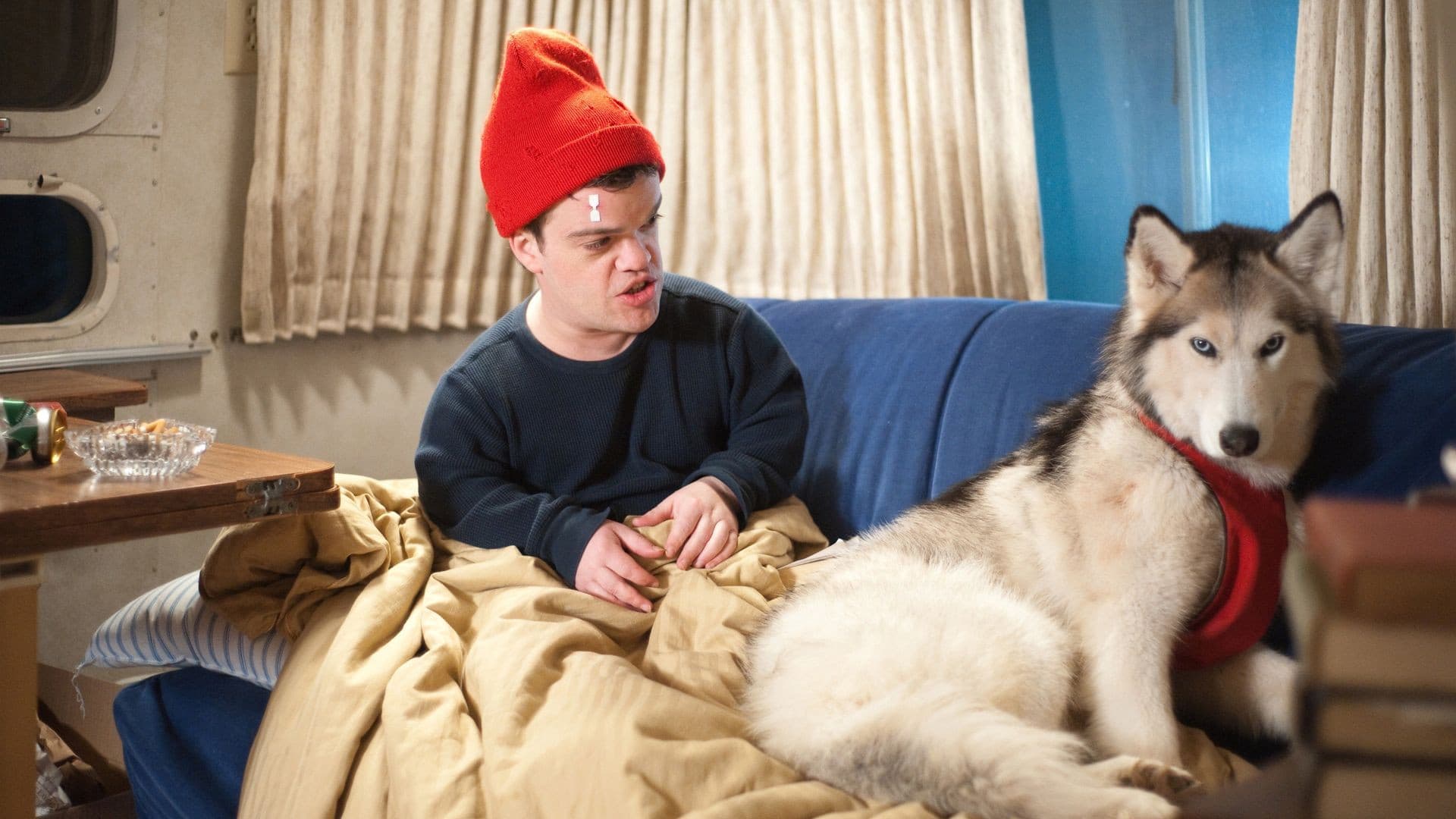 Poster backdrop for An Insignificant Harvey