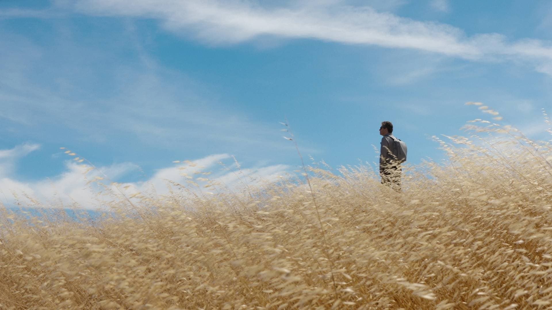 Poster backdrop for General Magic